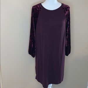 Gap raglan velvet sleeve dress